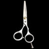 Stainless Steel Thinning Shears